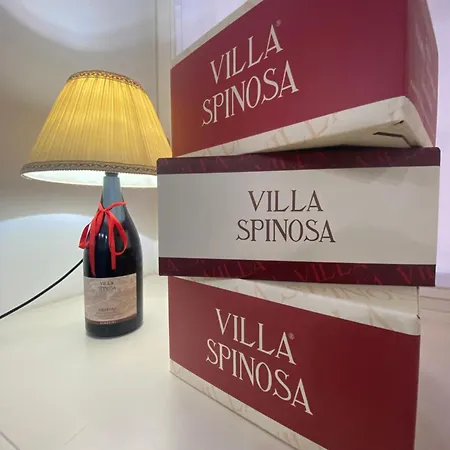 Apartament Santa Cecilia Wine *